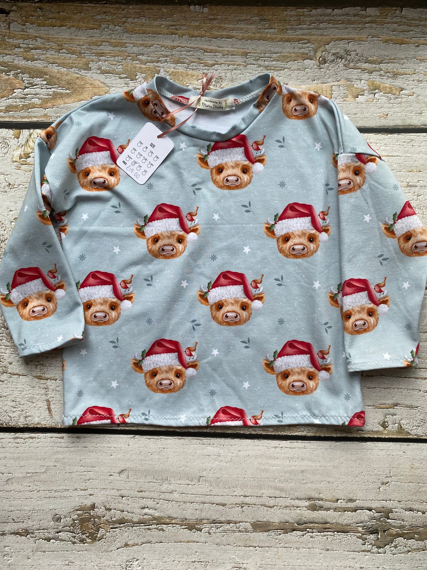 Highland Cow Santa Boxy Tee Long Sleeve 2-3 Years